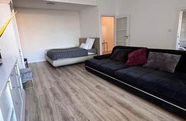 Großes, helles 1-ZimmerApartment bis zu 3 Personen - Foto 9