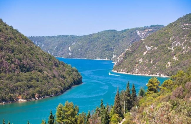 Spacious Apartment With Garden - Foto 32