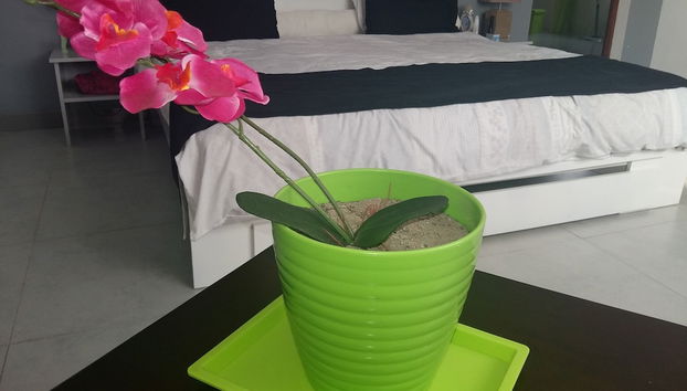 The Sanctuary - Foto 2, Habitación