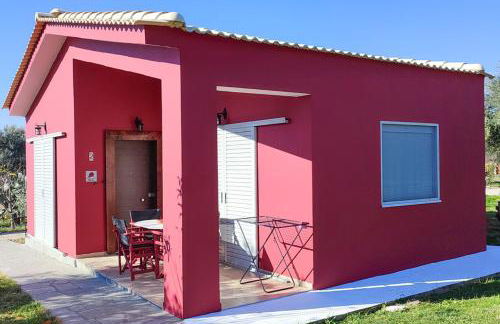 Socrates Organic Village - Wild Olive - Photo 40