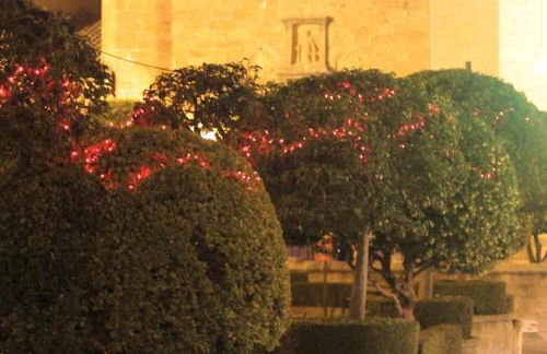 Alojamiento el camarín - Foto 55