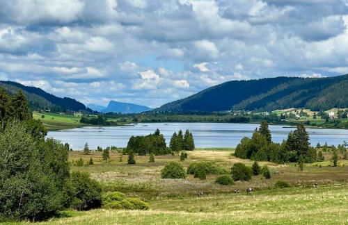 Chalet Vieux Bois, au coeur du village des Rousses - Foto 27