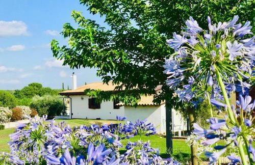 La collina delle fonti - Foto 17