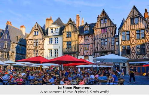 Gite Au Coeur de Tours, familial avec jardin au calme, parking - Photo 20