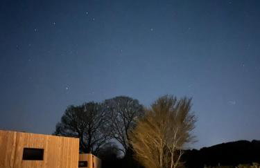 Unbox at Poplar Tree - Photo 38