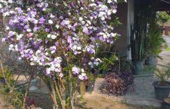 Recanto da Tia Lena - Foto 32