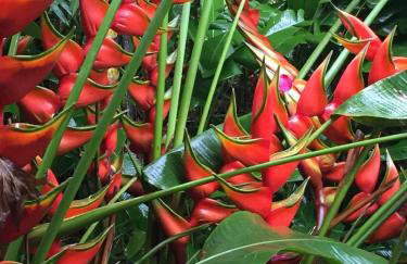 Sitio Alto da Montanha - você em paz com a natureza - Foto 54