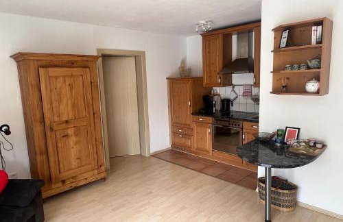 Einliegerwohnung in ruhiger Lage - Foto 5