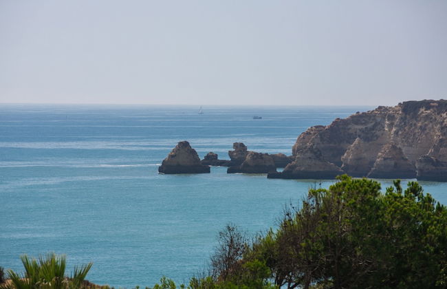 Jardim do Vau - Foto 70