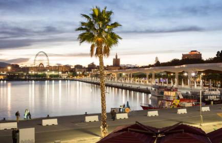 CASA VACACIONAL MÁLAGA 14 Chalet - Photo 57