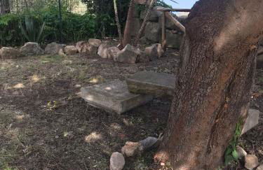 Bouganville in Villa Greco - Foto 67