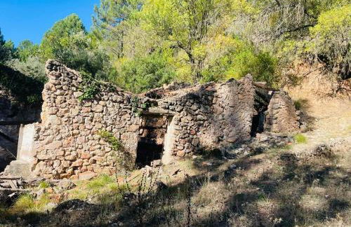 El Quejigo - Foto 19