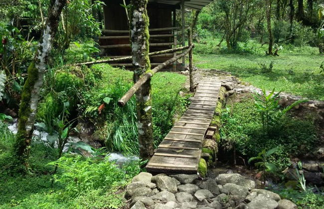 Mindo Eco chalet - Foto 29