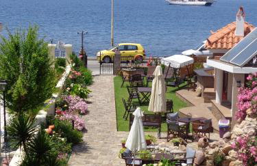 Niki Studios Sea - Front - Photo 38