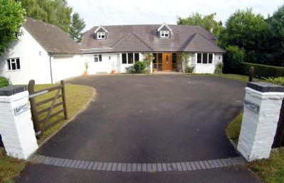 The Dorset Resort - Photo 122