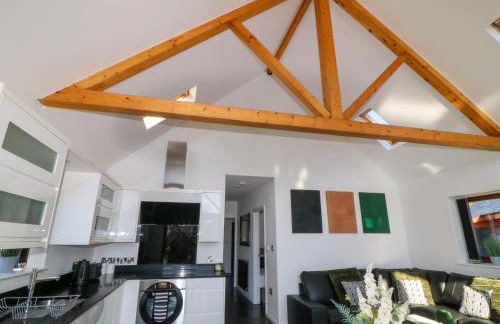 The Green Monkey - Foto 15