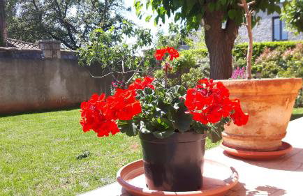 Apartment Ivan - Foto 7