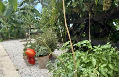 Casetta a Cavarretta - Foto 16