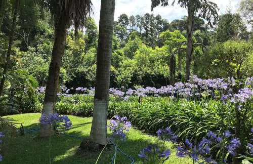 Lindo e aconchegante chalé com piscina, lareira e churrasqueira - Foto 12