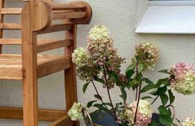 Panoramic Lookout, Davaar Island - Foto 38