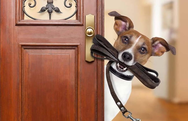 Brentrup Tempe - Foto 29