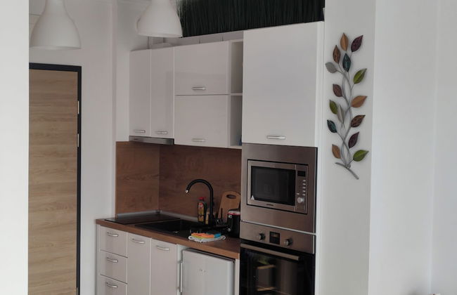 One room apartment - Foto 10