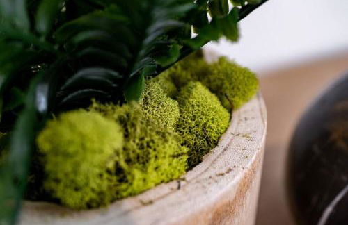 The Rosemont II - La Jolla Luxury - Foto 56