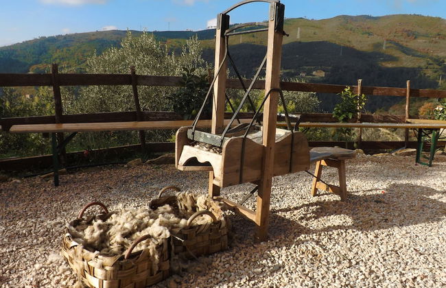 Agriturismo Monaci Templari - Photo 40