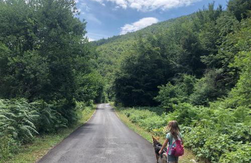 Casa nel bosco, Appennino Tosco Emiliano - Foto 50
