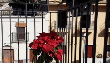 CASA STELLA - Foto 3