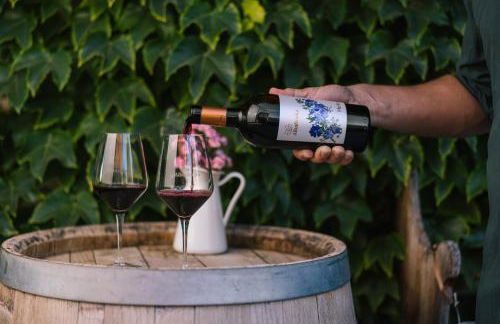 Alloggio Agrituristico Albafiorita - Foto 125