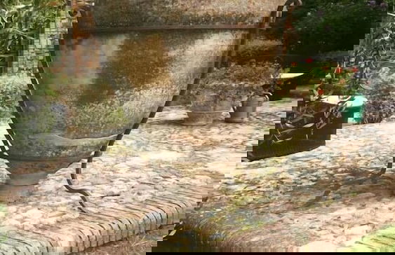 Podere Vitiano - Foto 30