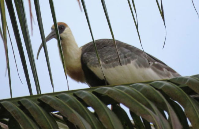 Finca El diamante - Alojamiento Rural - Foto 32