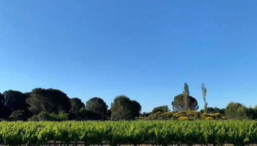 Chez Lydia - Face vignoble, Idéal famille, Billard - Foto 4