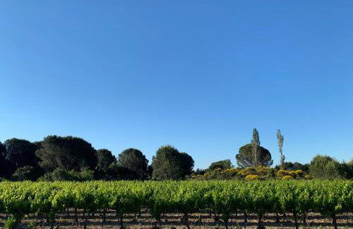 Chez Lydia - Face vignoble, Idéal famille, Billard - Foto 4