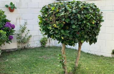 Apartamento Conde - Foto 28