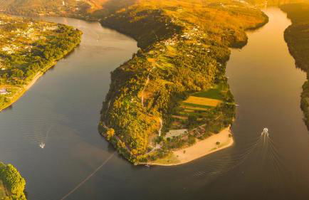 GOLDNATURE - Photo 26