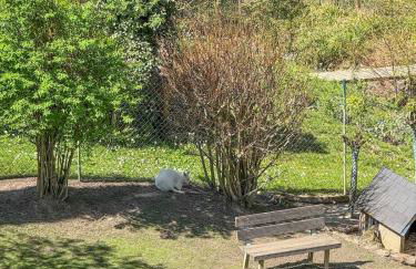 große und luxuriöse Ferienwohnung für max 8 Gäste - Foto 60