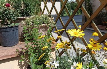 Casa Vacanze Rustico Di Corte - Foto 31