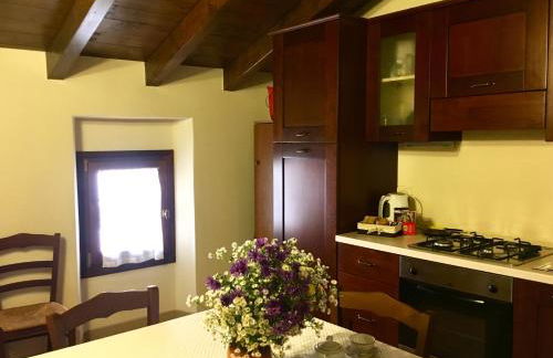 Antico Borgo dell'Anconella - grande appartamento rustico - Foto 1