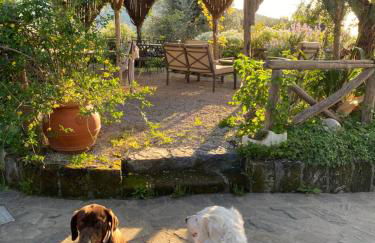 Agriturismo L'Olivara - Foto 1