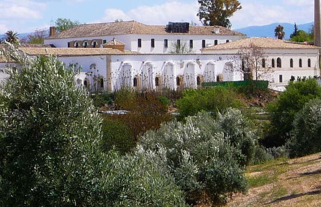 Visita guidata del Museo dell'Ulivo + Degustazione - Foto 1