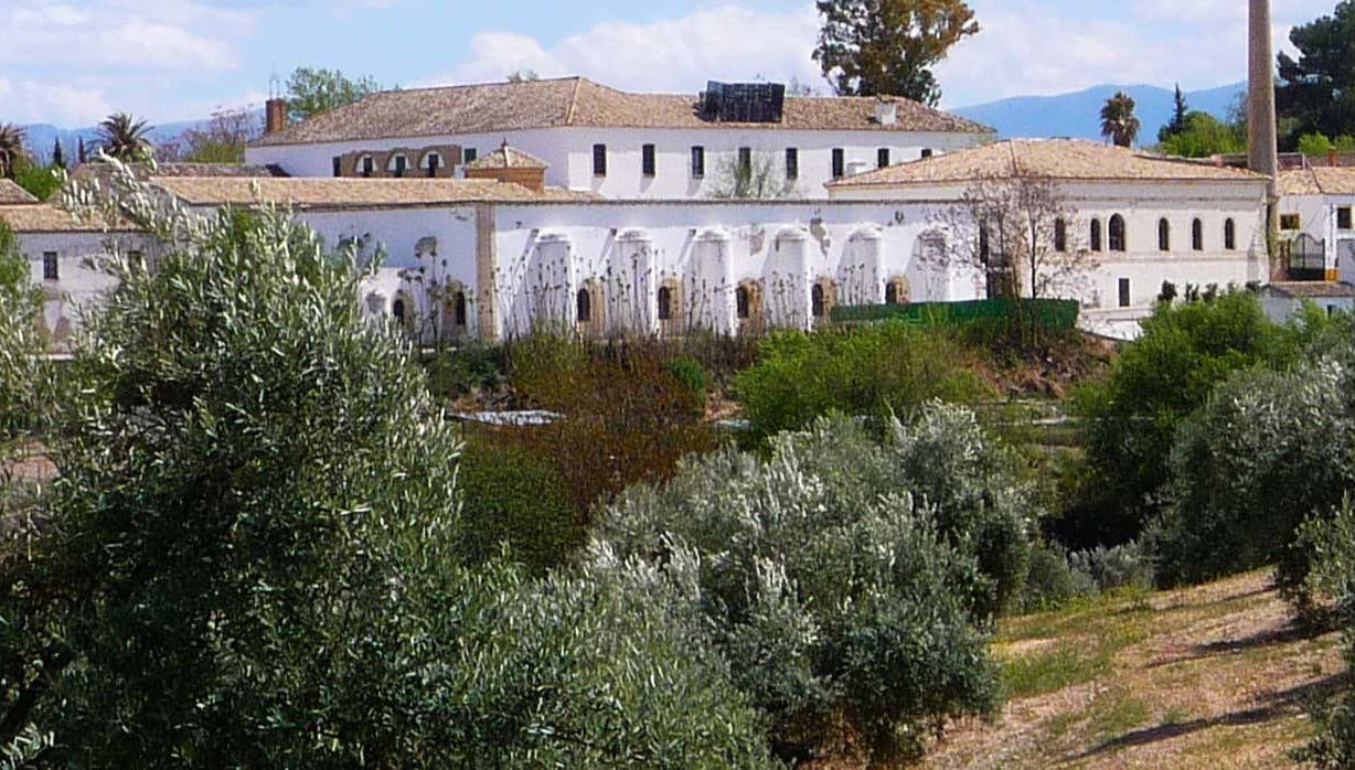 Visita guiada por el Museo del Olivo + Cata de aceites