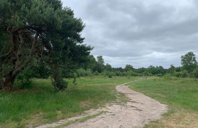 Bungalow in Veluwe With Sauna & Nature Views - Photo 12