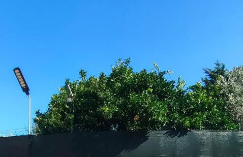 Camera a Catanzaro in villa relax ""oasi verde"" - Foto 8