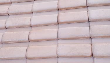 Jardim eden - Foto 3