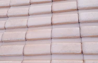 Jardim eden - Foto 3