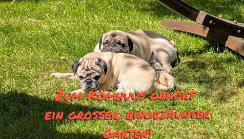 Ferienhaus Kömhuus - Foto 5