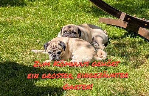 Ferienhaus Kömhuus - Photo 5