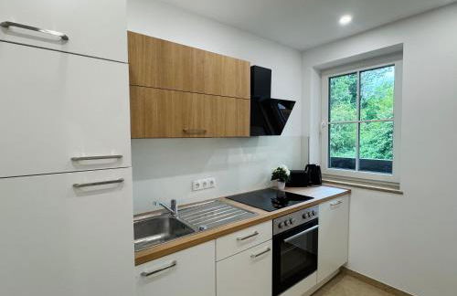 Modernes Apartment mit Balkon zwischen Chiemsee und Kampenwand - Foto 11